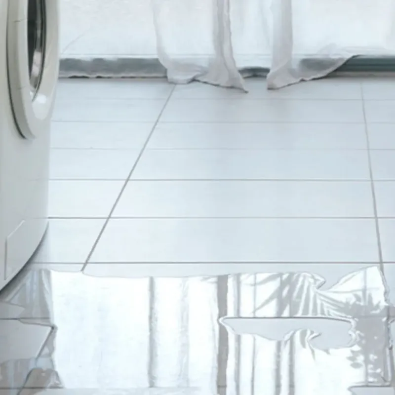 Appliance Leak Cleanup in Durant, IA
