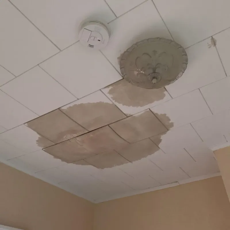 Ceiling Water Damage Repair in Durant, IA