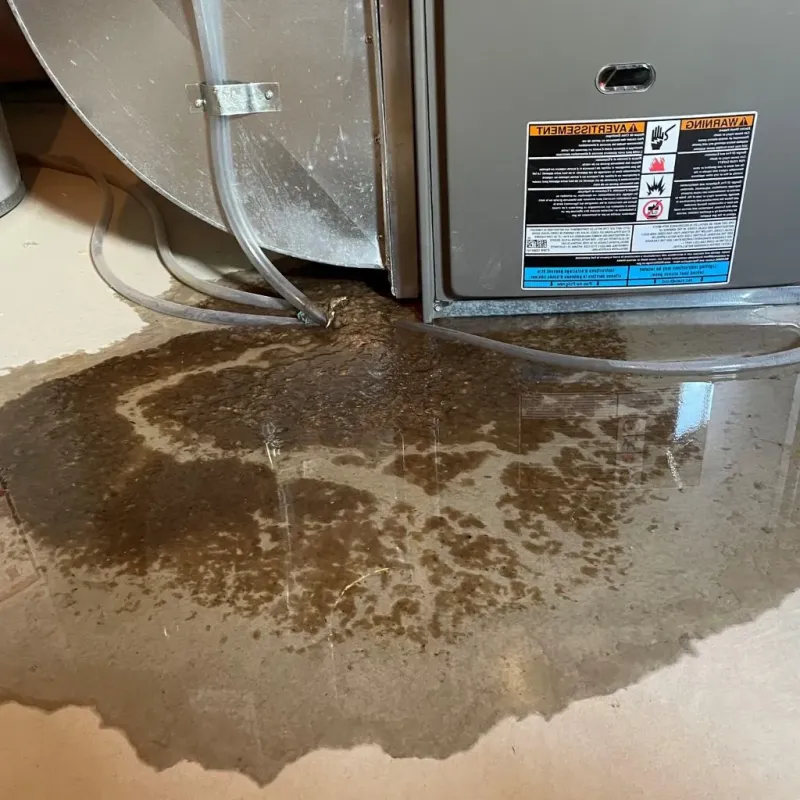 Pipe Burst and Leak Restoration in Durant, IA