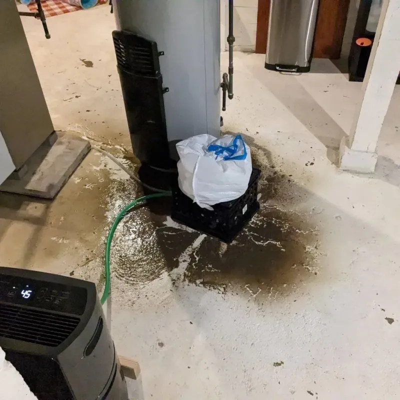 Sewage Backup Cleanup Service in Durant, IA